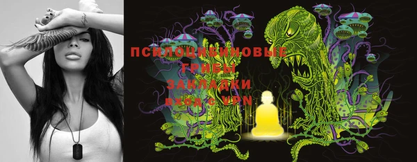 метадон Алексин