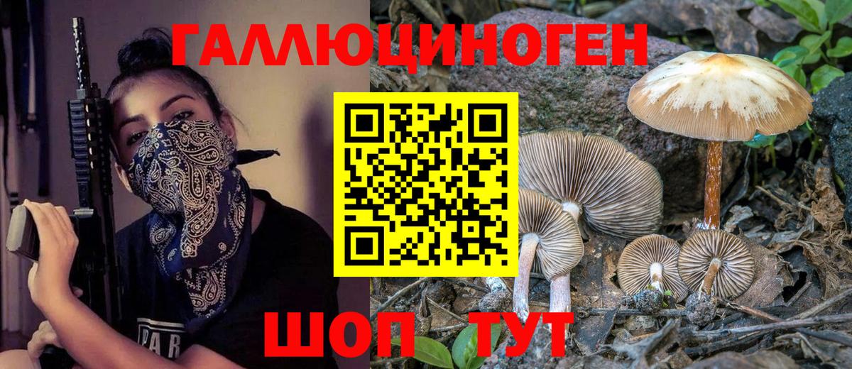 купить наркоту  Вход с VPN  Арзамас  Псилоцибиновые грибы мухоморы 