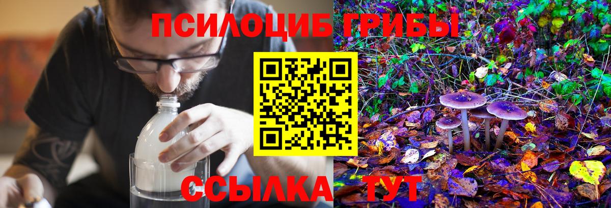 Псилоцибиновые грибы Magic Shrooms Арзамас